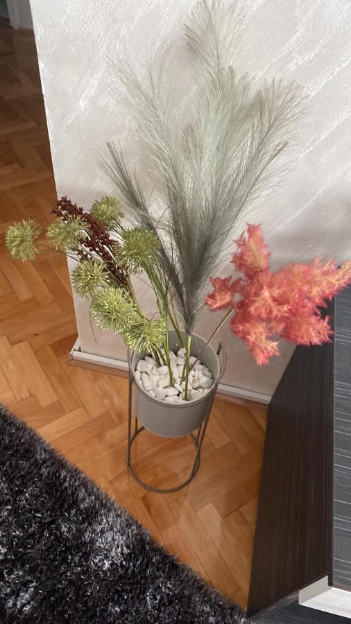 Apartman Bonaca Ni 외부 사진